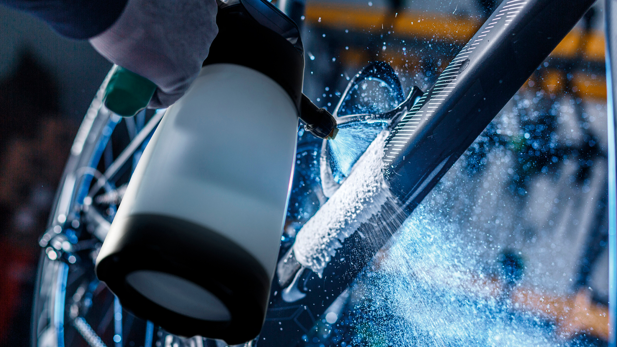 81676 2 Imagen de 81676 2