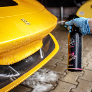 Imagen de Bug remover bad boys rrcustoms