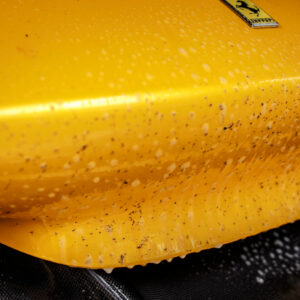 Imagen de Bug remover bad boys rrcustoms