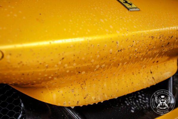 Imagen de Bug remover bad boys rrcustoms