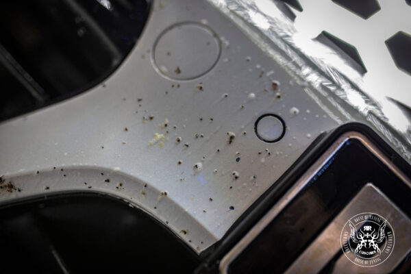 Imagen de Bug remover bad boys rrcustoms