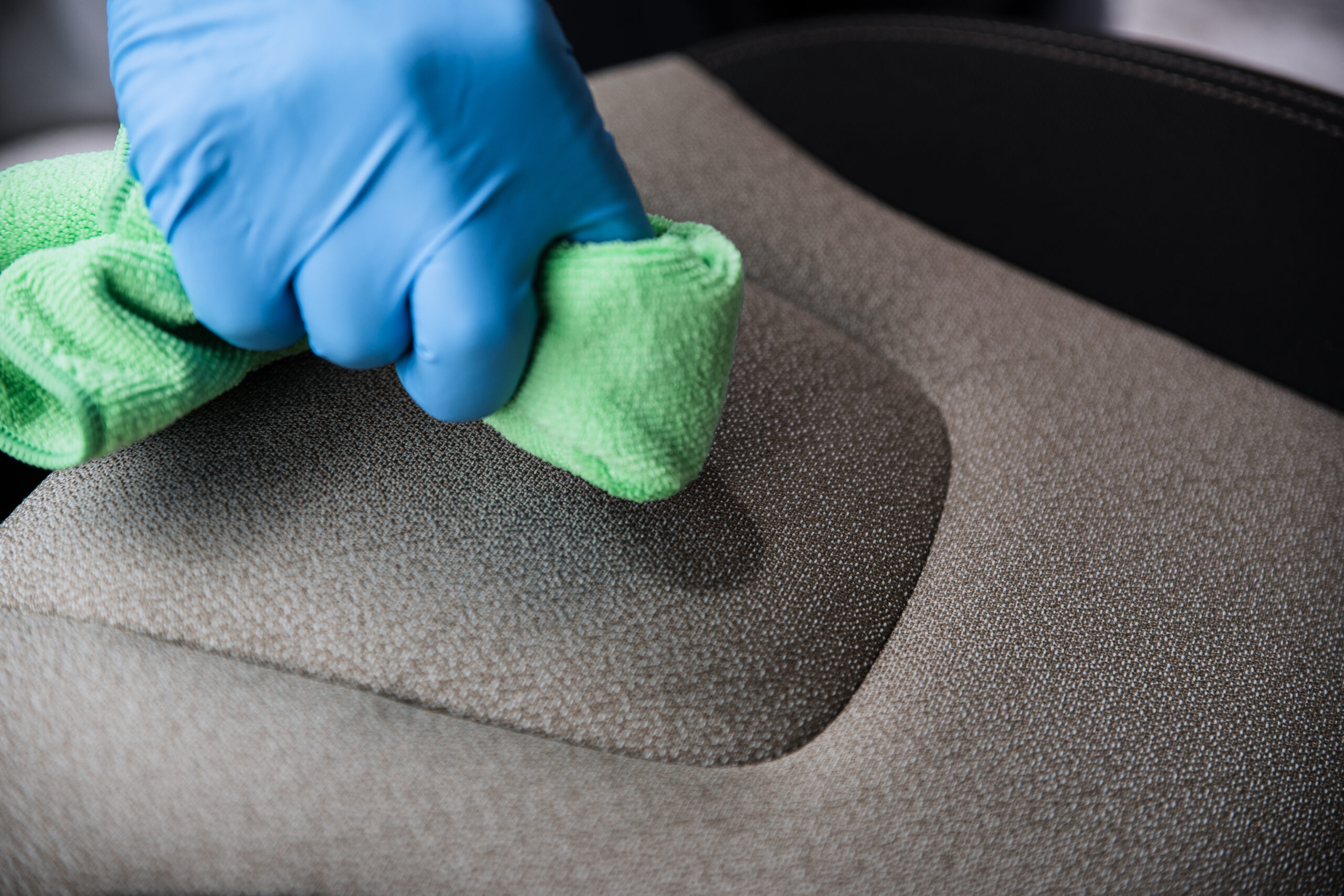 Dsc07156 bea Imagen de Dsc07156 bea